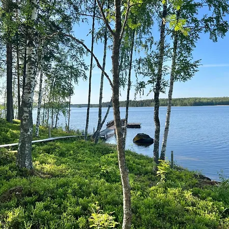Saimaan Mustikka *